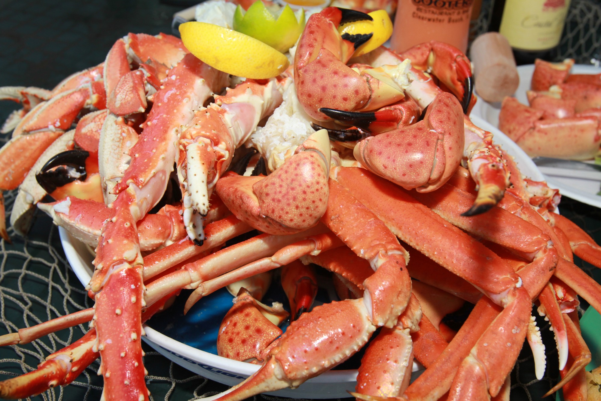 Cooters Restaurant and Bar News Clearwater Beach, Florida